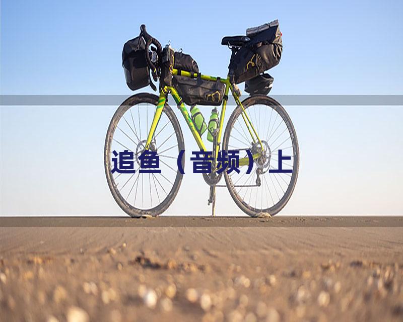 追鱼（音频）上