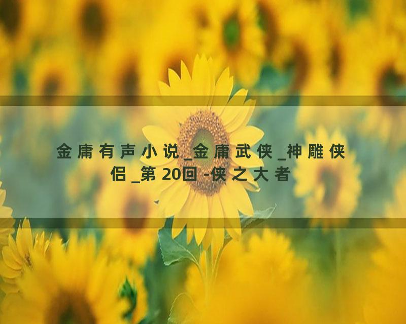 金庸有声小说_金庸武侠_神雕侠侣_第20回-侠之大者