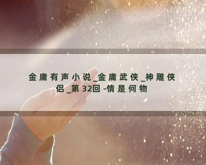 金庸有声小说_金庸武侠_神雕侠侣_第32回-情是何物