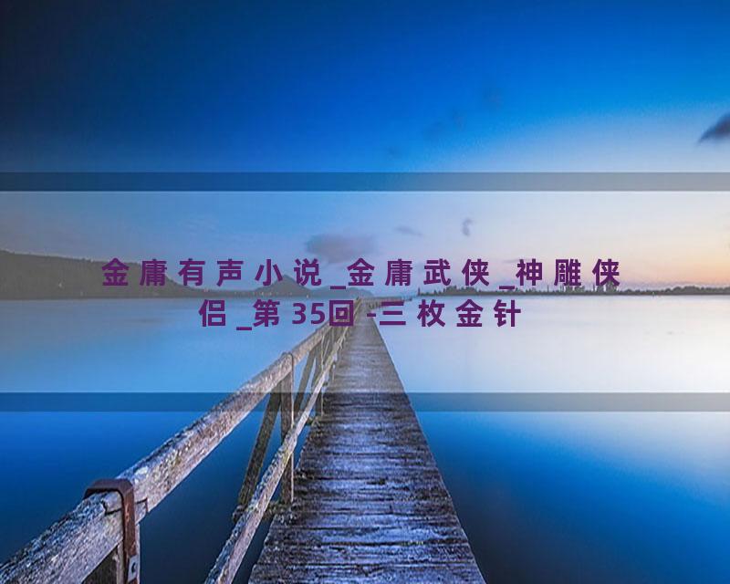 金庸有声小说_金庸武侠_神雕侠侣_第35回-三枚金针