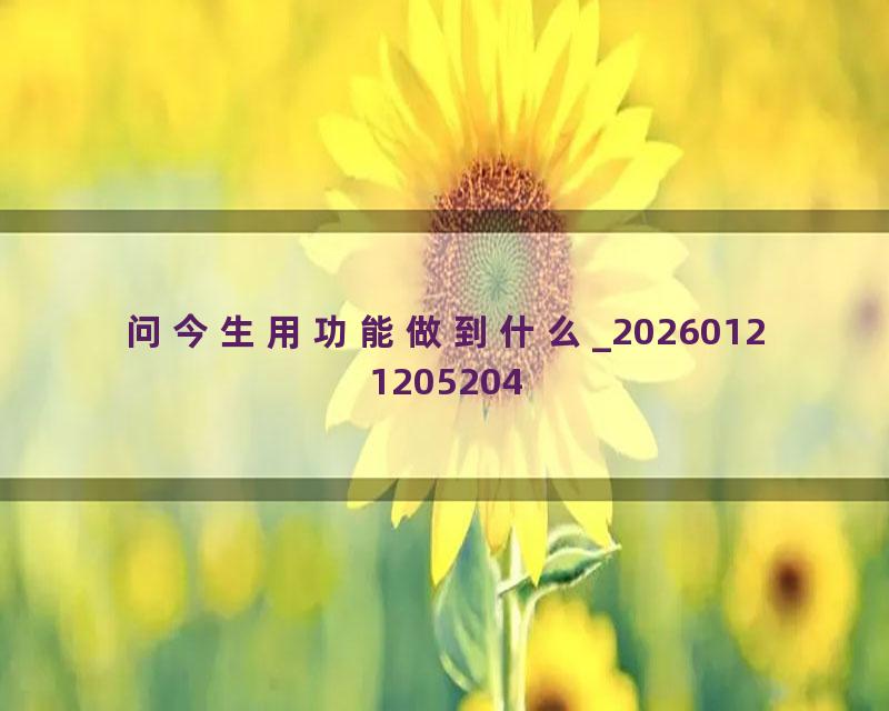 问今生用功能做到什么_20260121205204