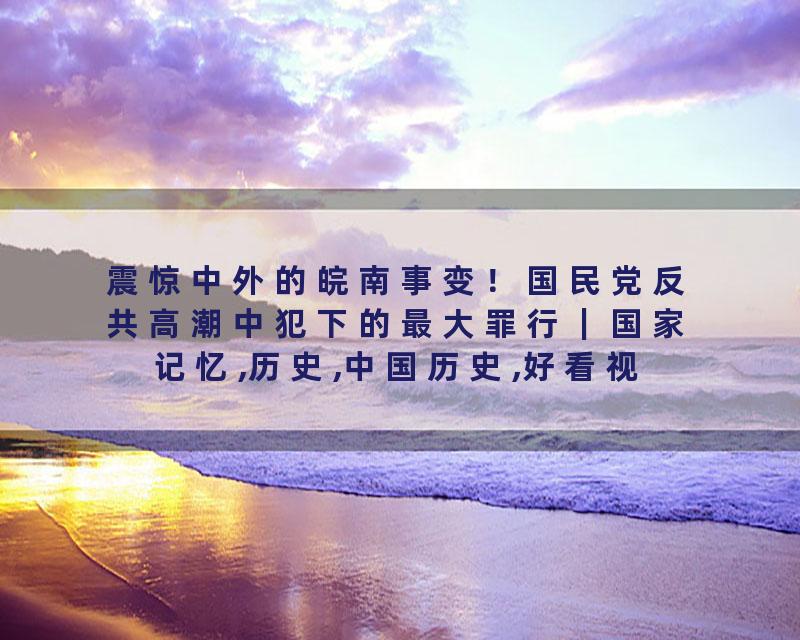 震惊中外的皖南事变！国民党反共高潮中犯下的最大罪行｜国家记忆,历史,中国历史,好看视频