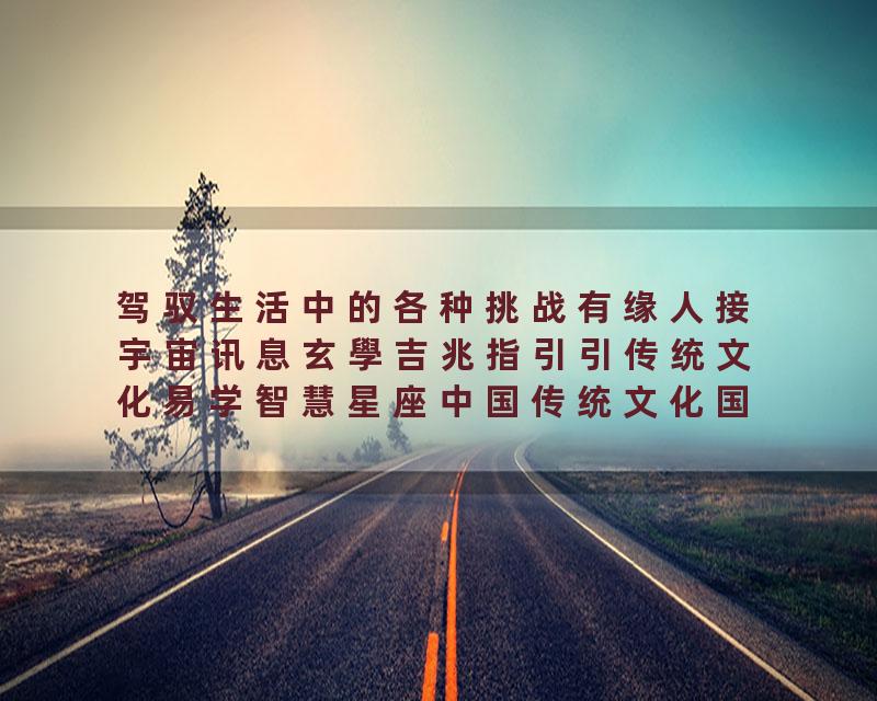 驾驭生活中的各种挑战有缘人接宇宙讯息玄學吉兆指引引传统文化易学智慧星座中国传统文化国学…