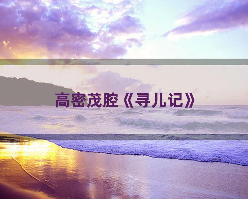 高密茂腔《寻儿记》