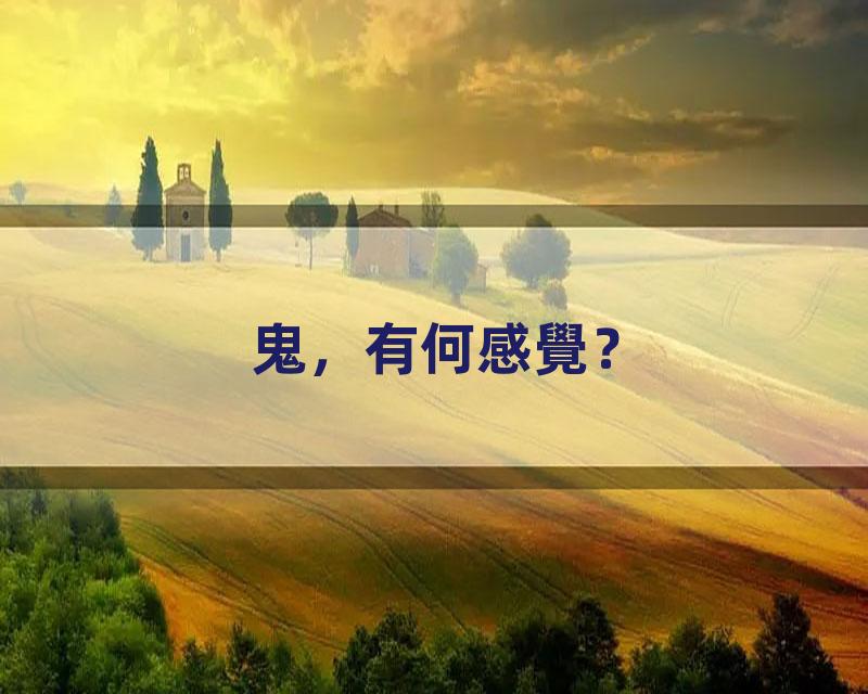 鬼，有何感覺？