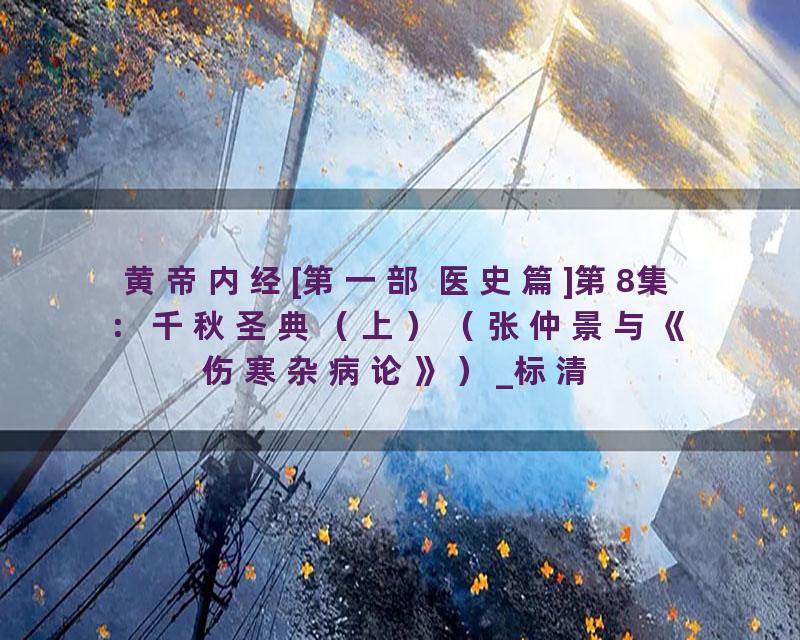 黄帝内经[第一部 医史篇]第8集：千秋圣典（上）（张仲景与《伤寒杂病论》）_标清