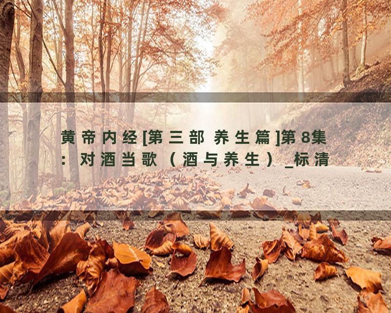 黄帝内经[第三部 养生篇]第8集：对酒当歌（酒与养生）_标清