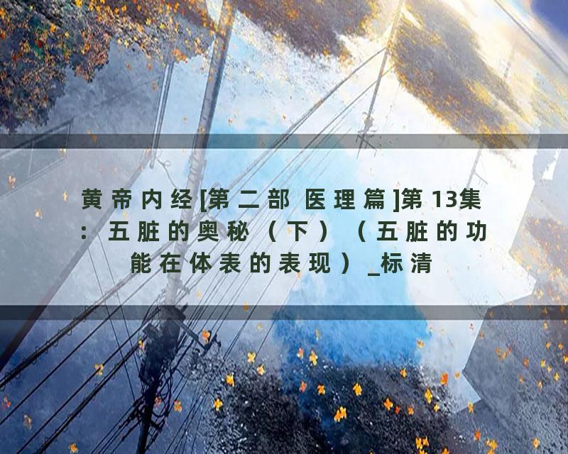 黄帝内经[第二部 医理篇]第13集：五脏的奥秘（下）（五脏的功能在体表的表现）_标清