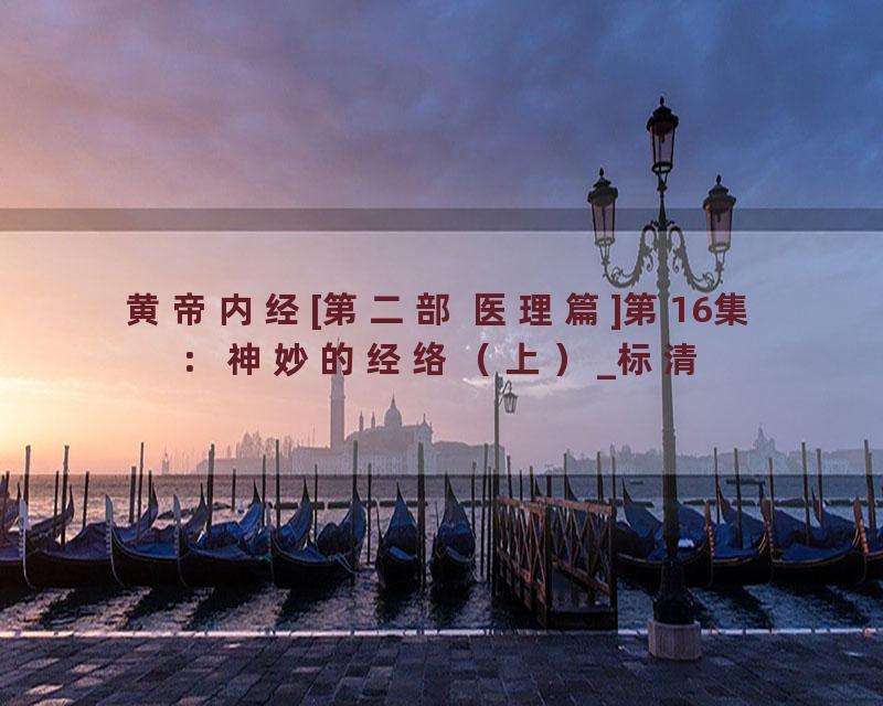 黄帝内经[第二部 医理篇]第16集：神妙的经络（上）_标清