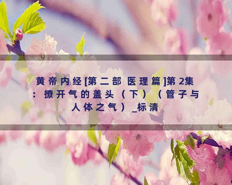 黄帝内经[第二部 医理篇]第2集：撩开气的盖头（下）（管子与人体之气）_标清