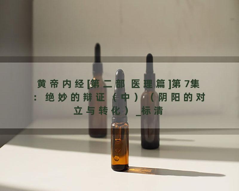 黄帝内经[第二部 医理篇]第7集：绝妙的辩证（中）（阴阳的对立与转化）_标清
