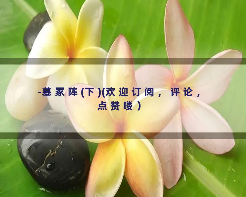 -墓冢阵(下)(欢迎订阅，评论，点赞喽）