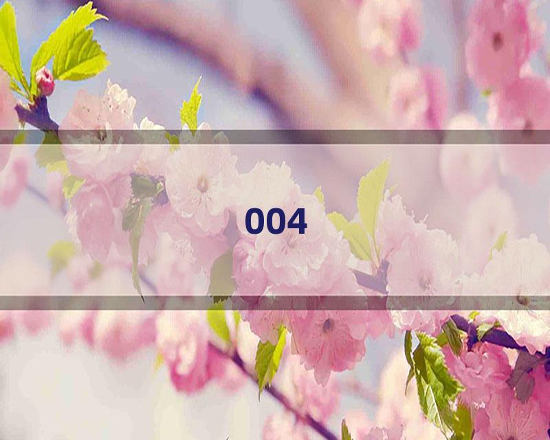 004
