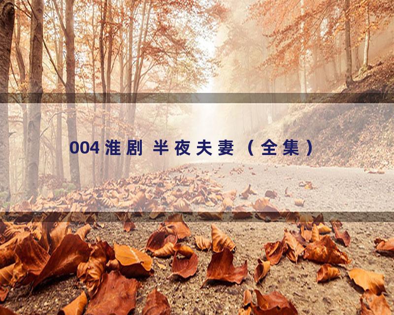 004 淮剧 半夜夫妻（全集）