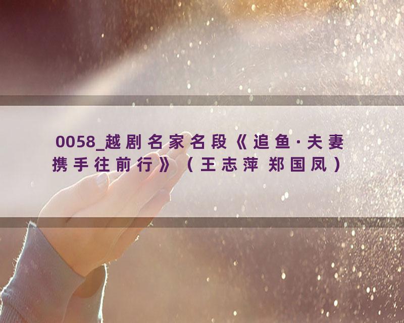 0058_越剧名家名段《追鱼·夫妻携手往前行》（王志萍 郑国凤）