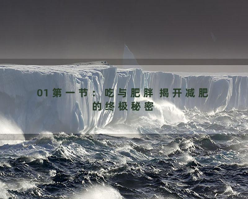01 第一节：吃与肥胖 揭开减肥的终极秘密