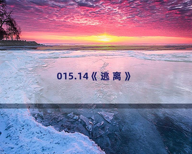 015.14《逃离》