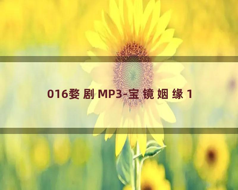 016婺剧MP3-宝镜姻缘1
