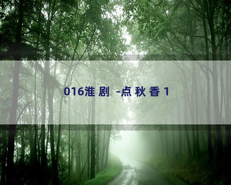 016淮剧 -点秋香1