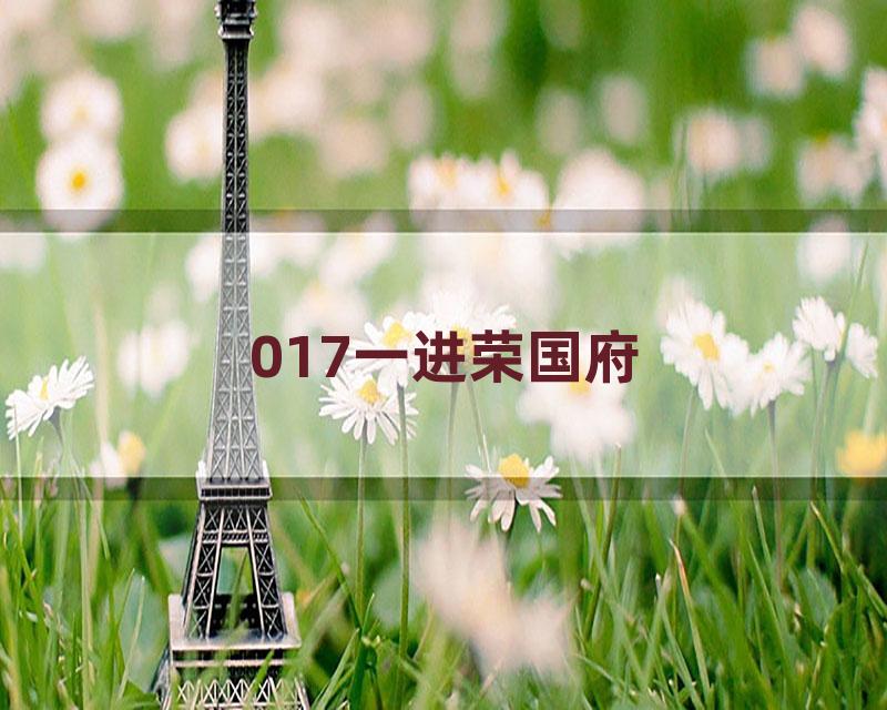 017一进荣国府