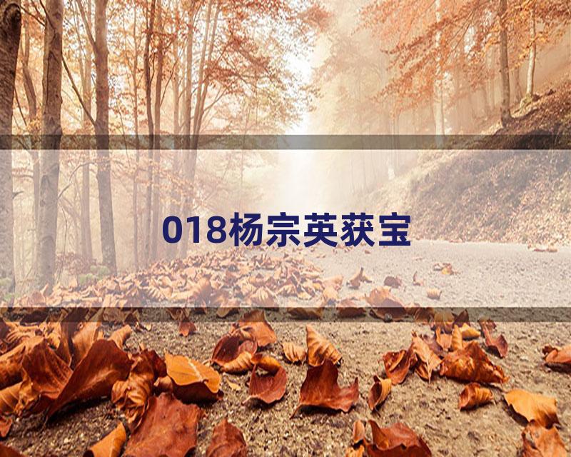 018杨宗英获宝