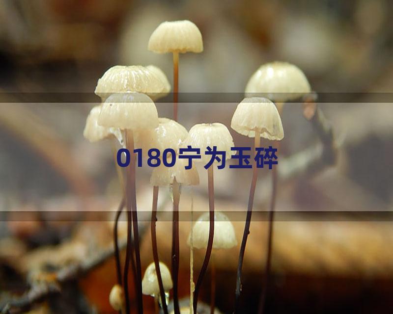 0180宁为玉碎