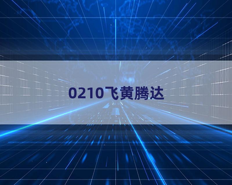 0210飞黄腾达