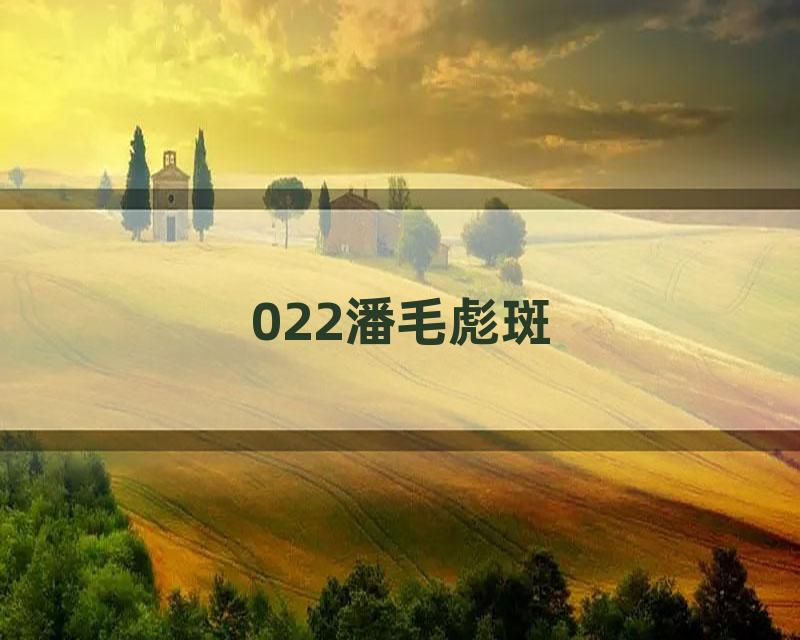 022潘毛彪斑