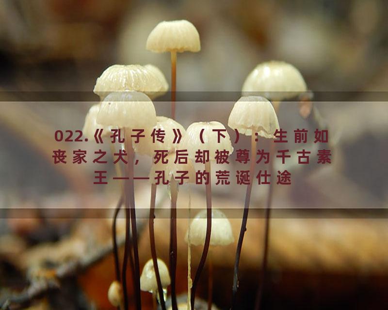 022.《孔子传》（下）：生前如丧家之犬，死后却被尊为千古素王——孔子的荒诞仕途