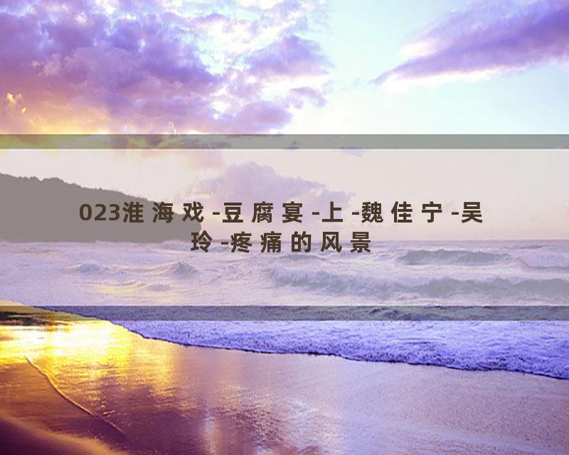 023淮海戏-豆腐宴-上-魏佳宁-吴玲-疼痛的风景