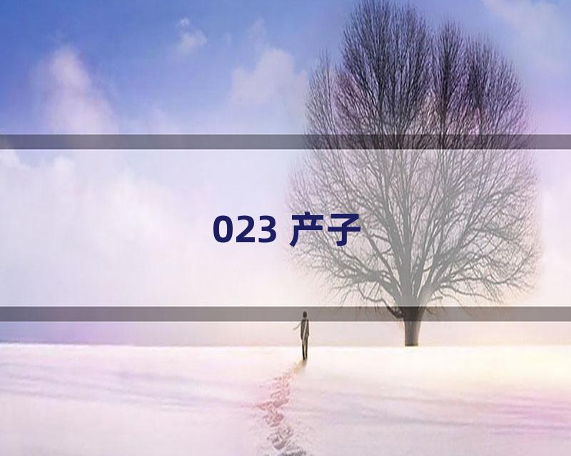 023 产子
