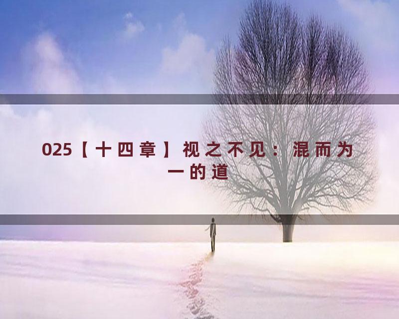 025【十四章】视之不见：混而为一的道