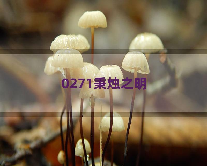 0271秉烛之明