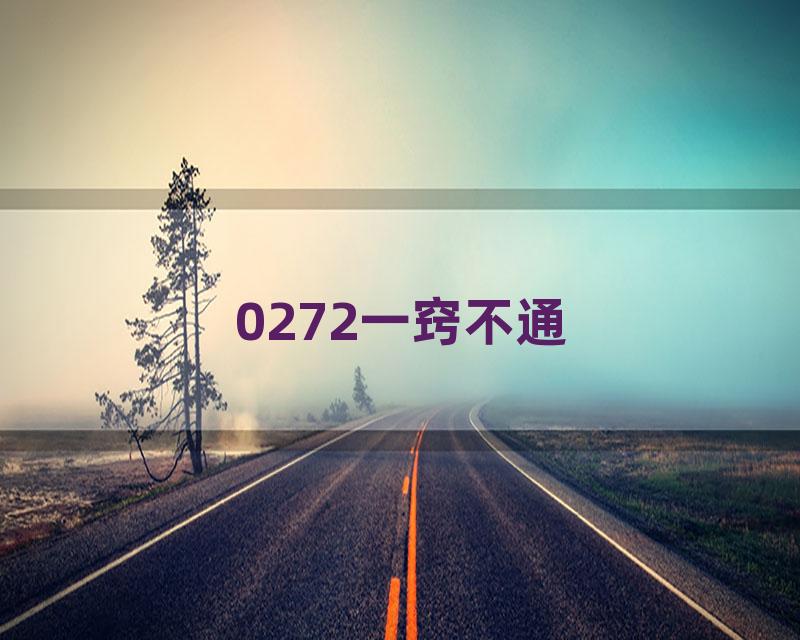 0272一窍不通