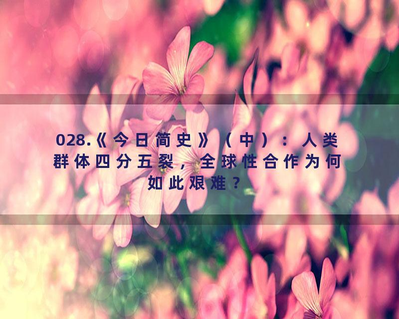 028.《今日简史》（中）：人类群体四分五裂，全球性合作为何如此艰难？