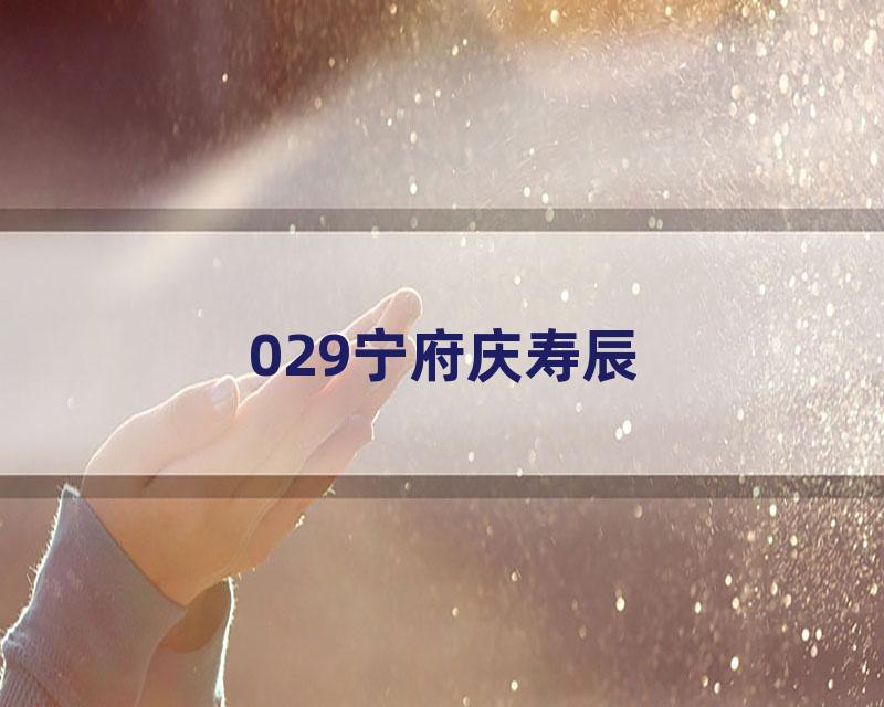 029宁府庆寿辰