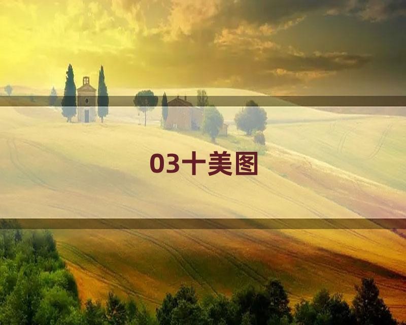 03十美图