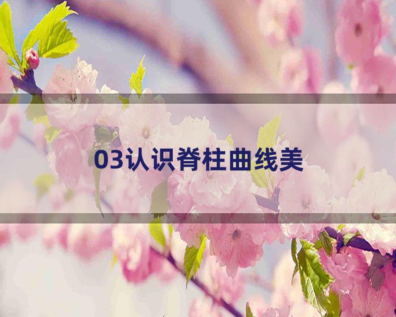 03认识脊柱曲线美