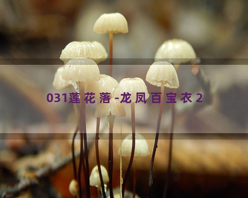 031莲花落-龙凤百宝衣2