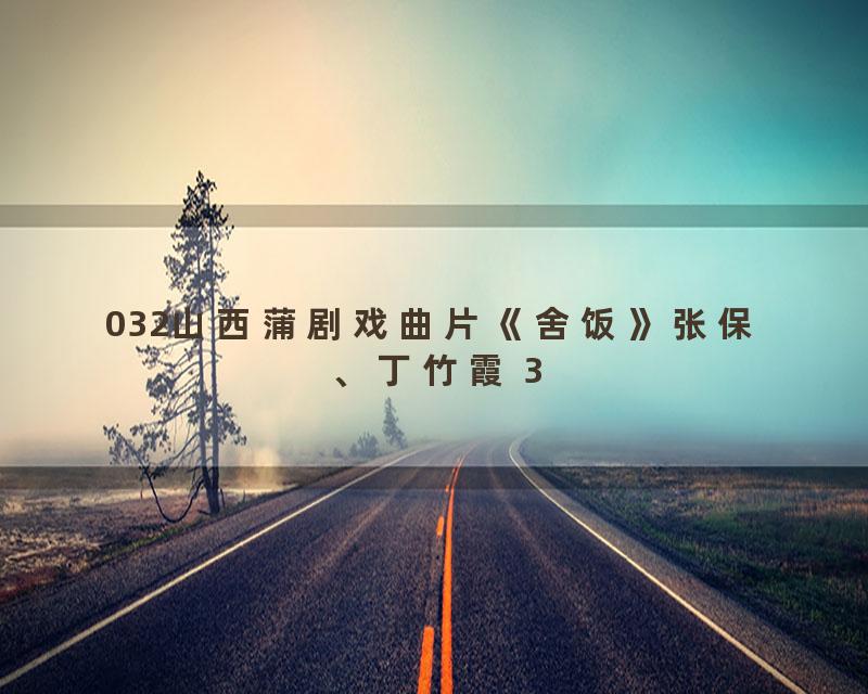032山西蒲剧戏曲片《舍饭》张保、丁竹霞 3