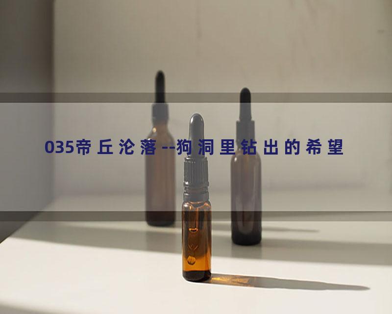 035帝丘沦落--狗洞里钻出的希望