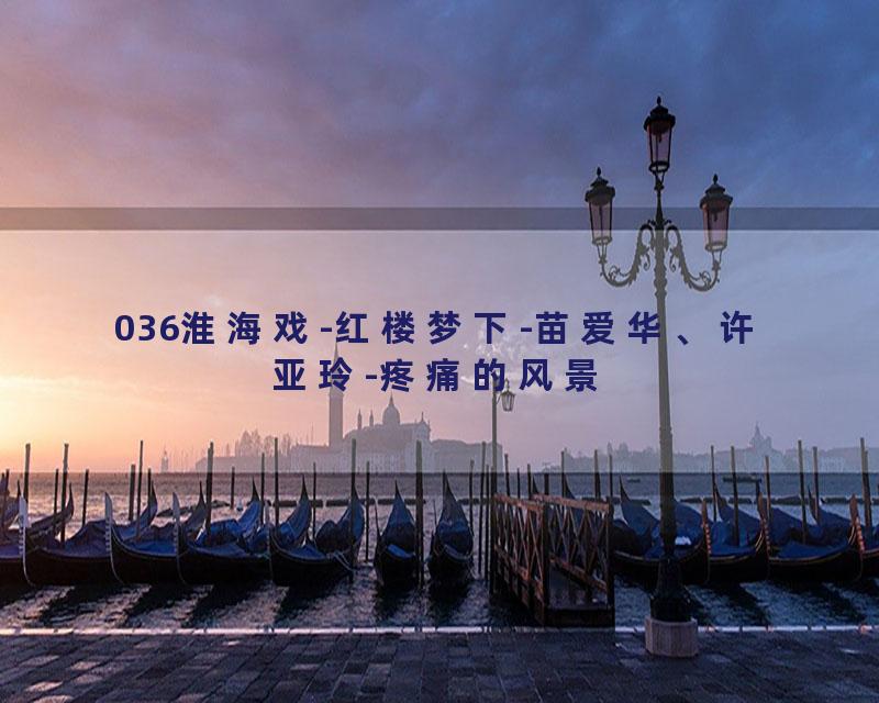 036淮海戏-红楼梦下-苗爱华、许亚玲-疼痛的风景
