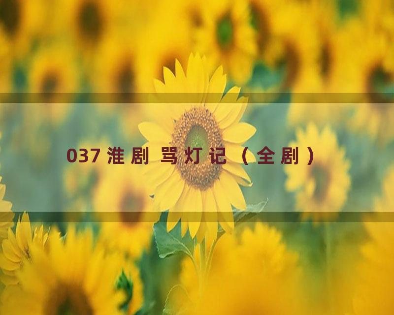 037 淮剧 骂灯记（全剧）