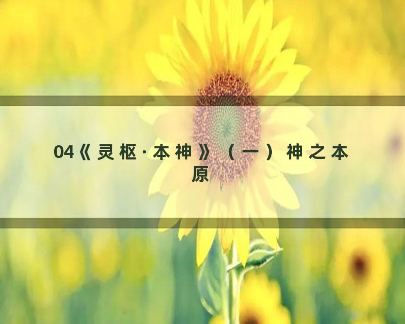 04《灵枢·本神》（一）神之本原