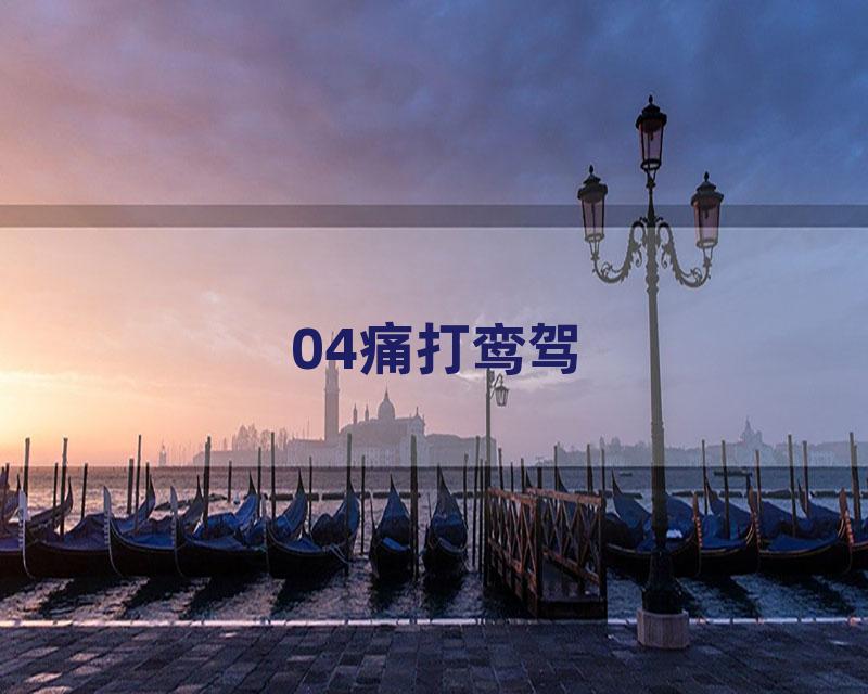 04痛打鸾驾