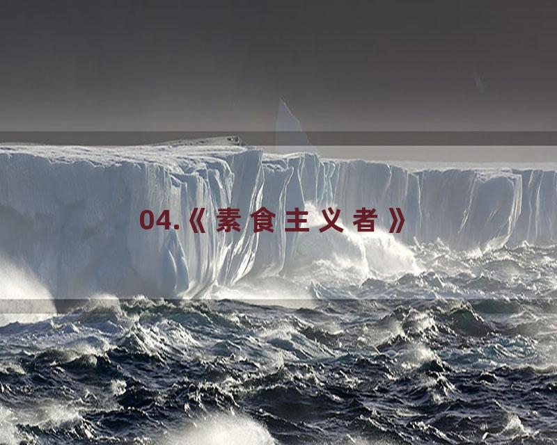 04.《素食主义者》