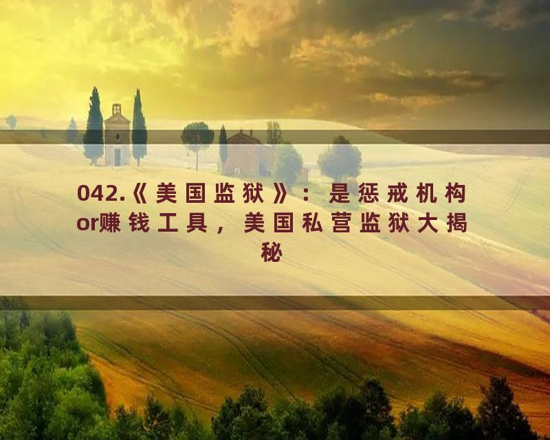 042.《美国监狱》：是惩戒机构or赚钱工具，美国私营监狱大揭秘