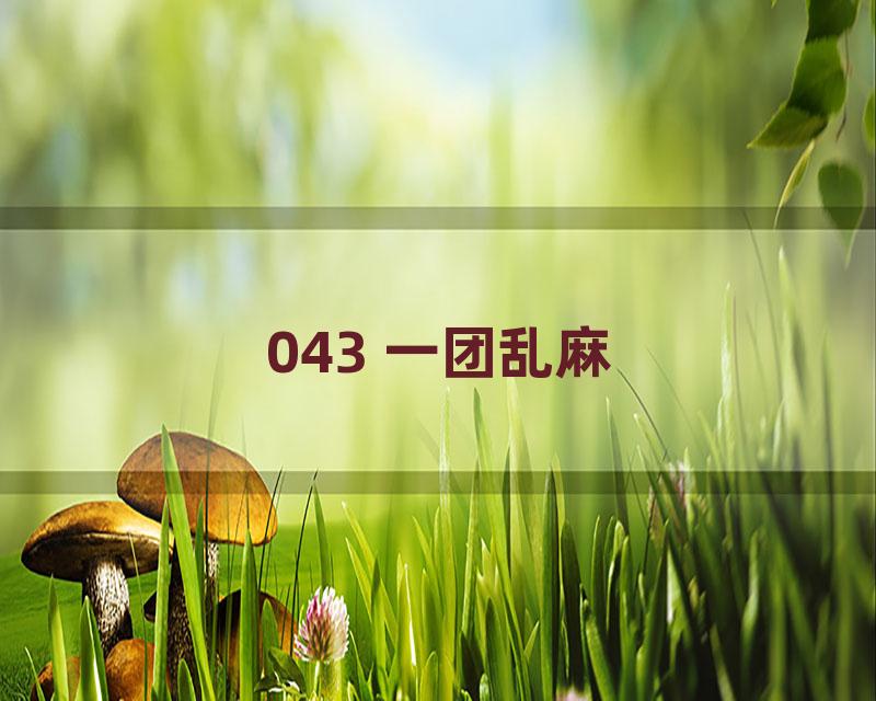 043 一团乱麻
