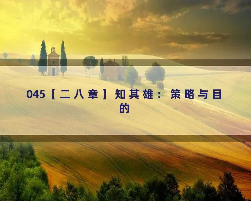 045【二八章】知其雄：策略与目的