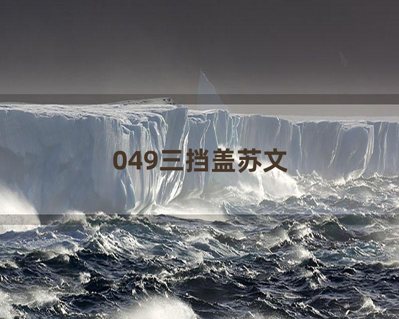 049三挡盖苏文